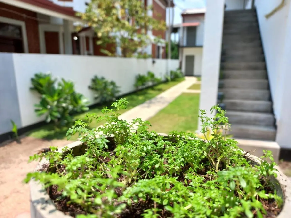 Couple Rooms In Negombo 0*,
